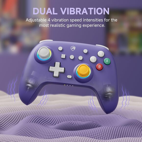 ECHTPower Switch Controller Wireless Pro RGB Turbo Retro Gamepad for Switch 2 - Picture 7 of 8